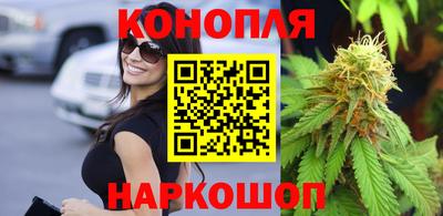 шишки Канаш