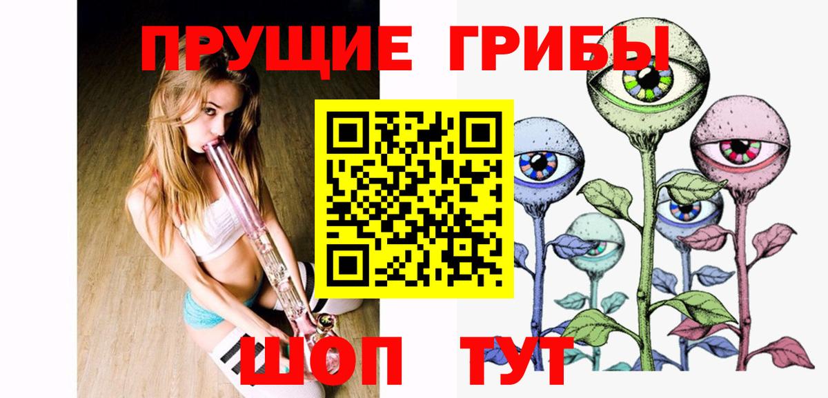Псилоцибиновые грибы Cubensis Чебоксары