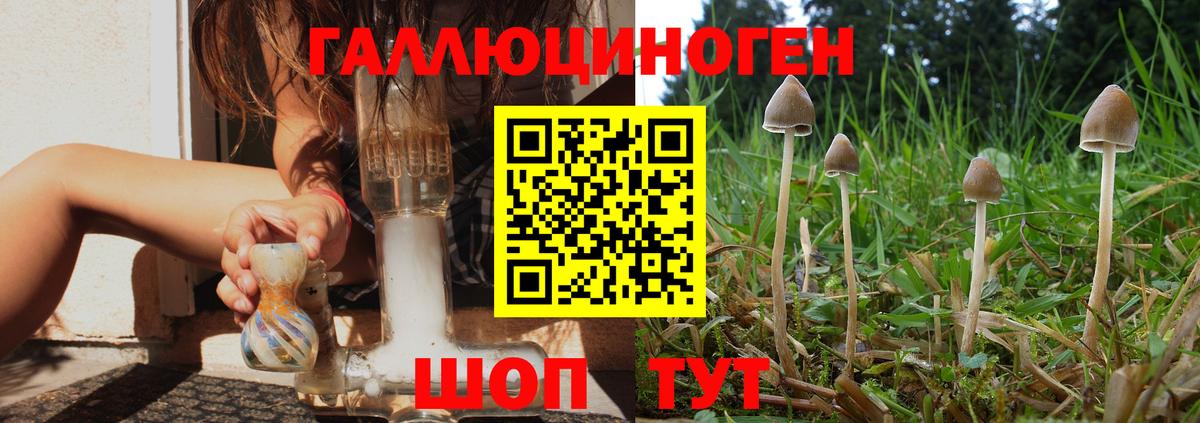 Чебоксары  Псилоцибиновые грибы GOLDEN TEACHER  Вход с VPN 